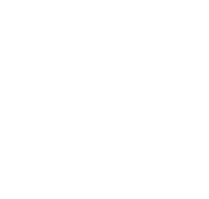 SYG Group Compass
